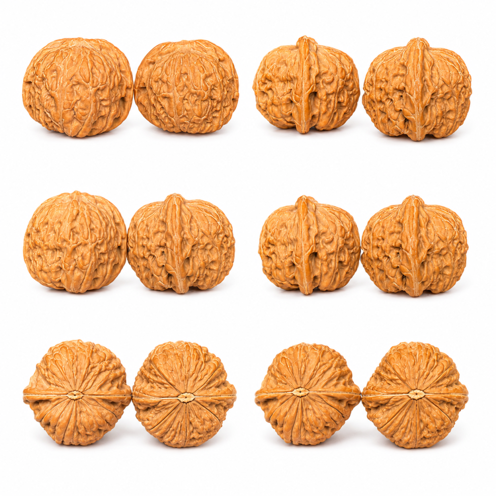Flat Pan Two-Ridge Chinese Cultural Play Walnuts, Natural Wild Lion Head Stress Relief Hand Balls, Chinese Desktop Decorations, Playable Collectibles with Natural Patina
