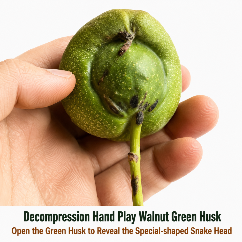 Century-old Wild Walnut Hand Balls, Hard Texture Fidget Toys, Custom Engraved Collectible Decor Pair