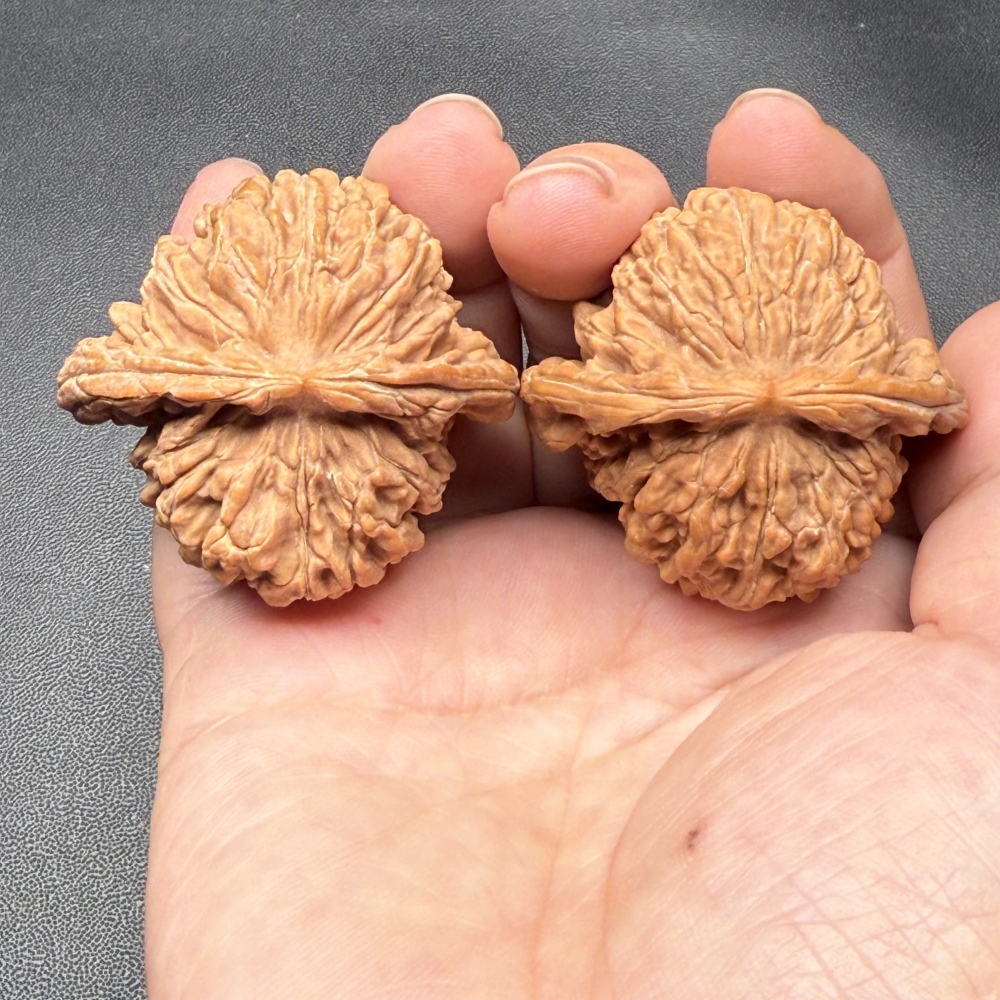 Pinggu First-Generation Old Tree Lion Head Walnuts, Natural Fidget Hand Balls, Collectible Palm Massage Toys with Custom Engraving