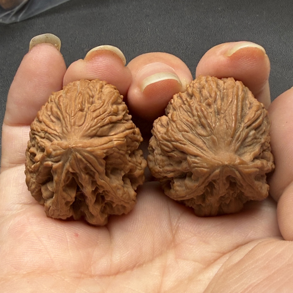 Natural Rabbit Shape Nanjiang Stone Wenwan Walnuts Matched Pair