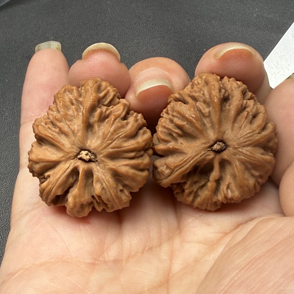 Natural Rabbit Shape Nanjiang Stone Wenwan Walnuts Matched Pair