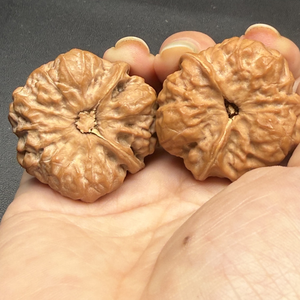 Natural Toad Head Special-shaped Walnut, Rabbit-like Look