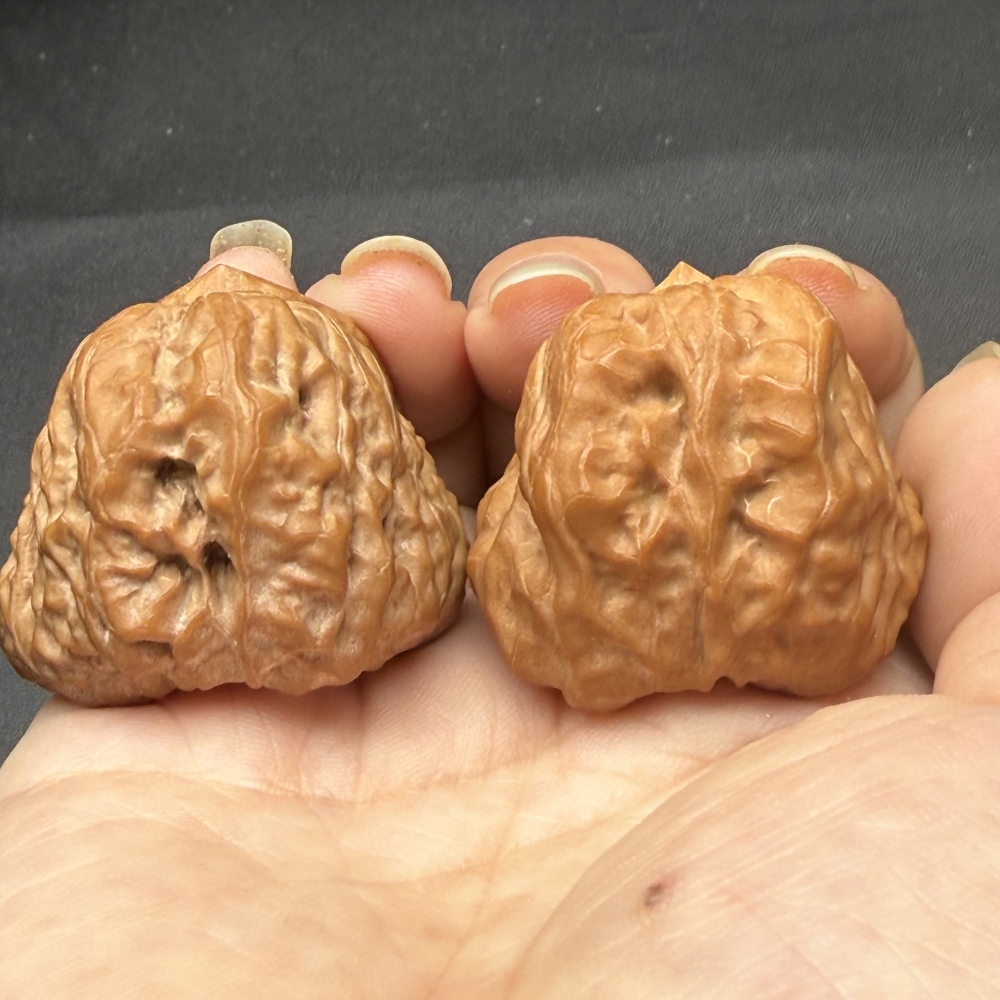 Natural Toad Head Special-shaped Walnut, Rabbit-like Look
