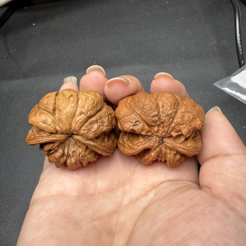 Natural Wild Snake Head Official Hat Wenwan Walnuts, Hand Carving Collectible Walnut Pair