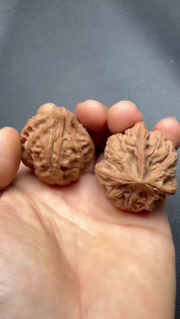36mm Natural Red Jade Tri-ridge Wenwan Walnut, Wild Un-spliced Oriental Collectible Craft for Meditation & Desktop Decor