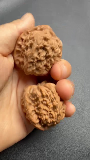 38mm Natural Triangle White Lion Head Wenwan Walnut, Wild Un-spliced Chinese Hand Play Collectible for Meditation & Desk Decor