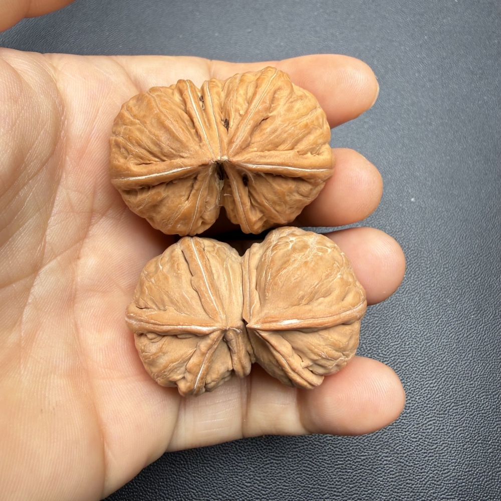 41mm Wild Natural Conjoined Wenwan Walnut, Pure Natural Growth No Splicing Oriental Hand Play Collectible Craft