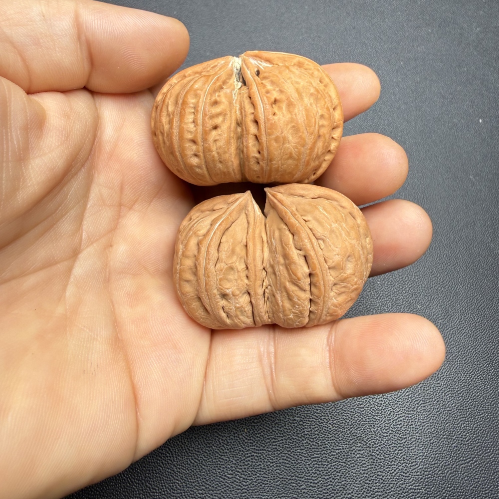 41mm Wild Natural Conjoined Wenwan Walnut, Pure Natural Growth No Splicing Oriental Hand Play Collectible Craft