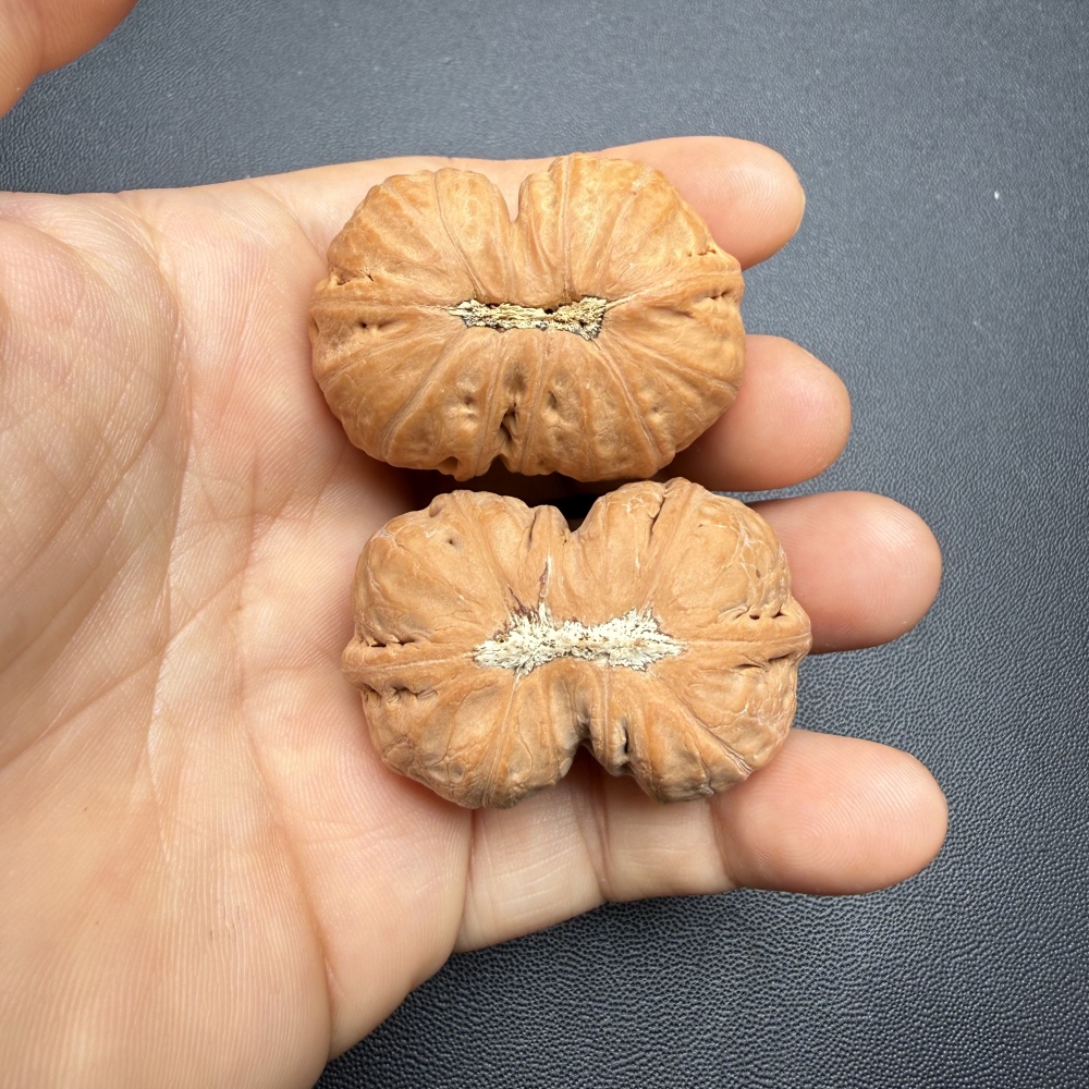 41mm Wild Natural Conjoined Wenwan Walnut, Pure Natural Growth No Splicing Oriental Hand Play Collectible Craft