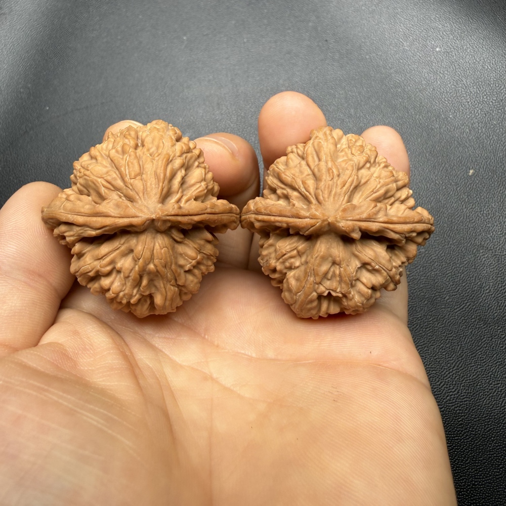 38mm Natural Triangle White Lion Head Wenwan Walnut, Wild Un-spliced Chinese Hand Play Collectible for Meditation & Desk Decor