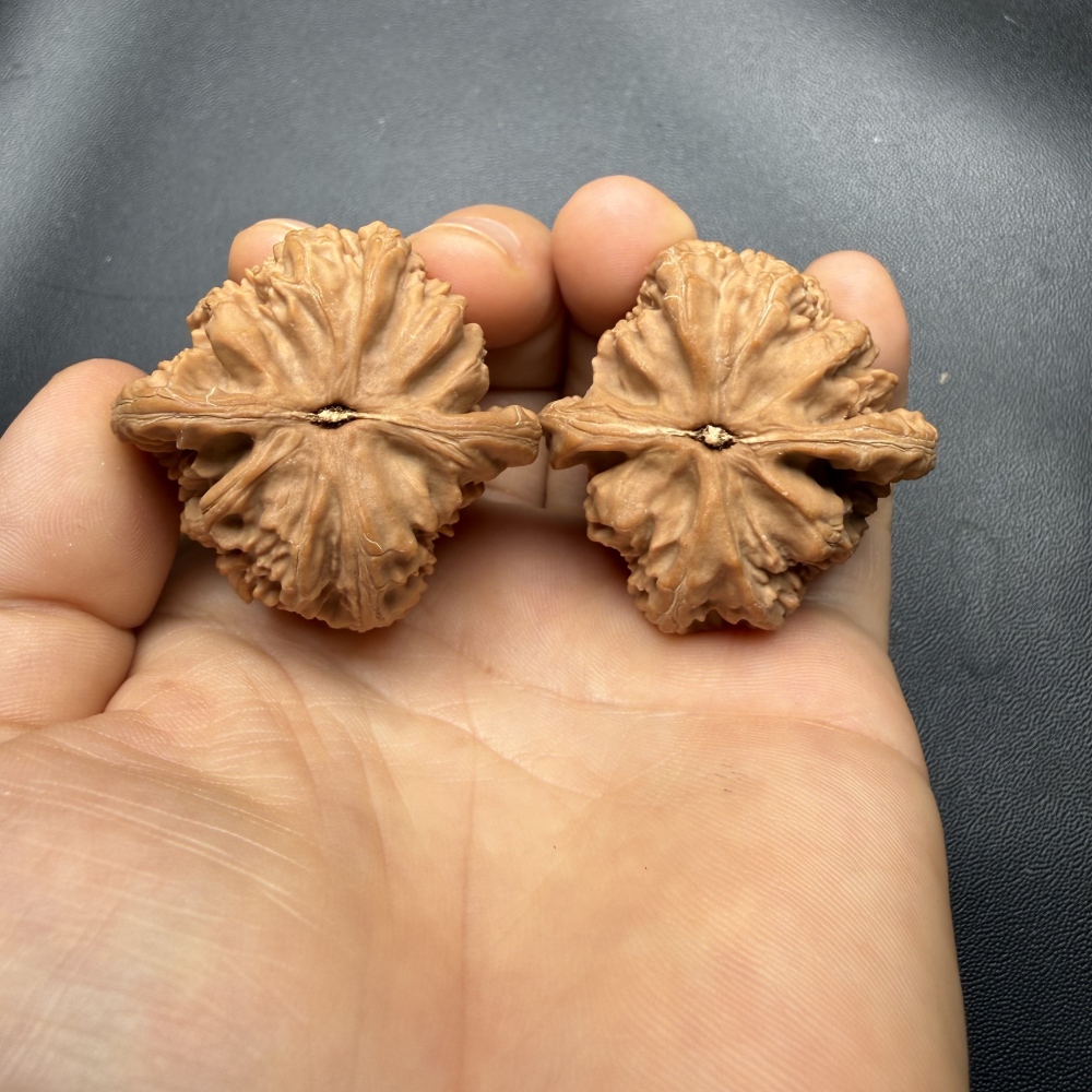 38mm Natural Triangle White Lion Head Wenwan Walnut, Wild Un-spliced Chinese Hand Play Collectible for Meditation & Desk Decor