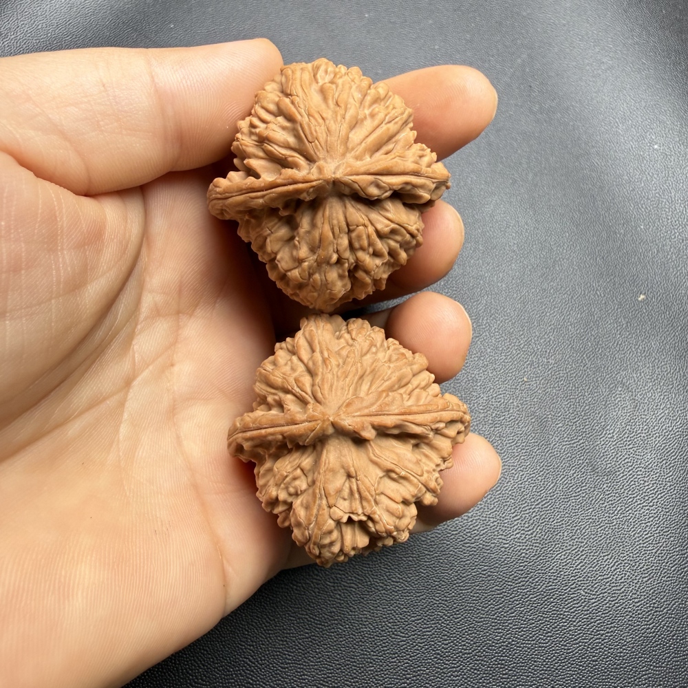 38mm Natural Triangle White Lion Head Wenwan Walnut, Wild Un-spliced Chinese Hand Play Collectible for Meditation & Desk Decor