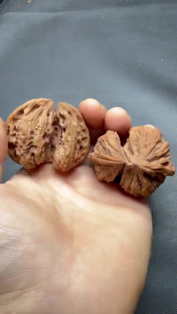 Natural Nanjiang Stone Conjoined Horn Wenwan Walnut Wholesale Gift