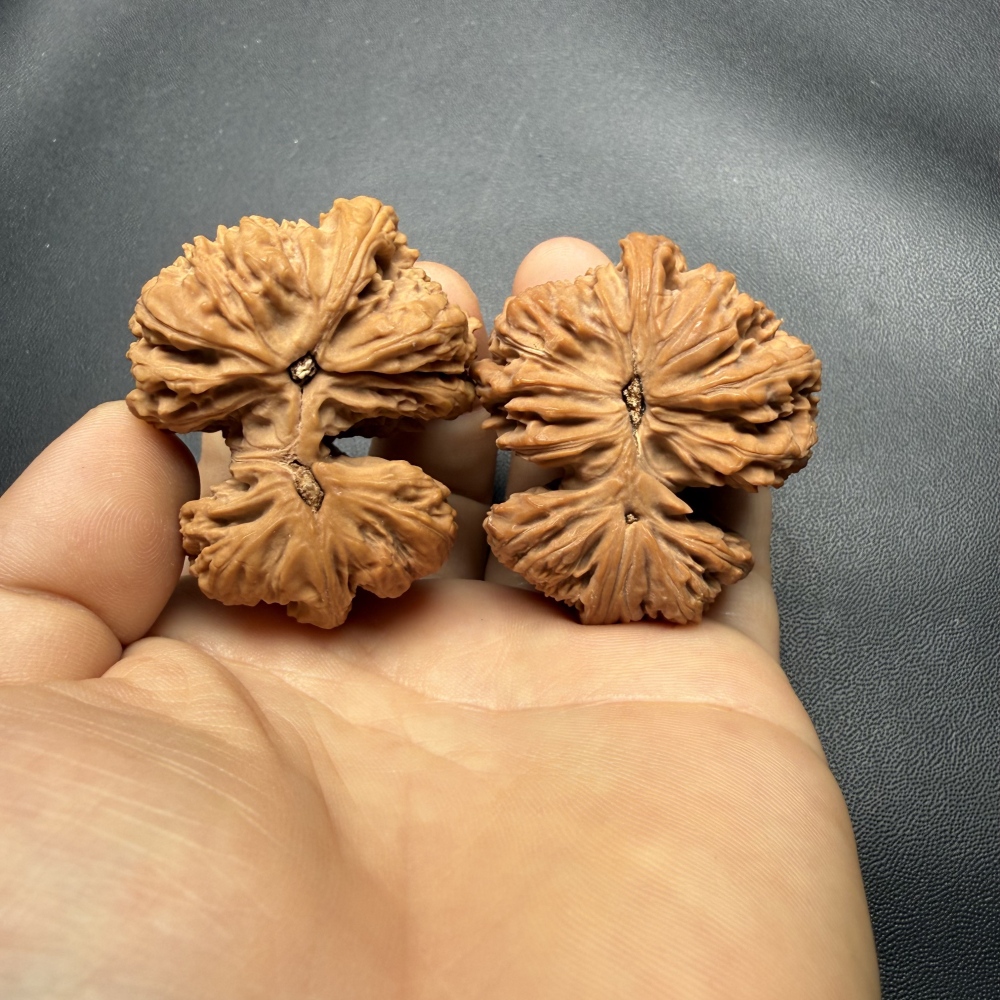 Natural Nanjiang Stone Conjoined Horn Wenwan Walnut Wholesale Gift