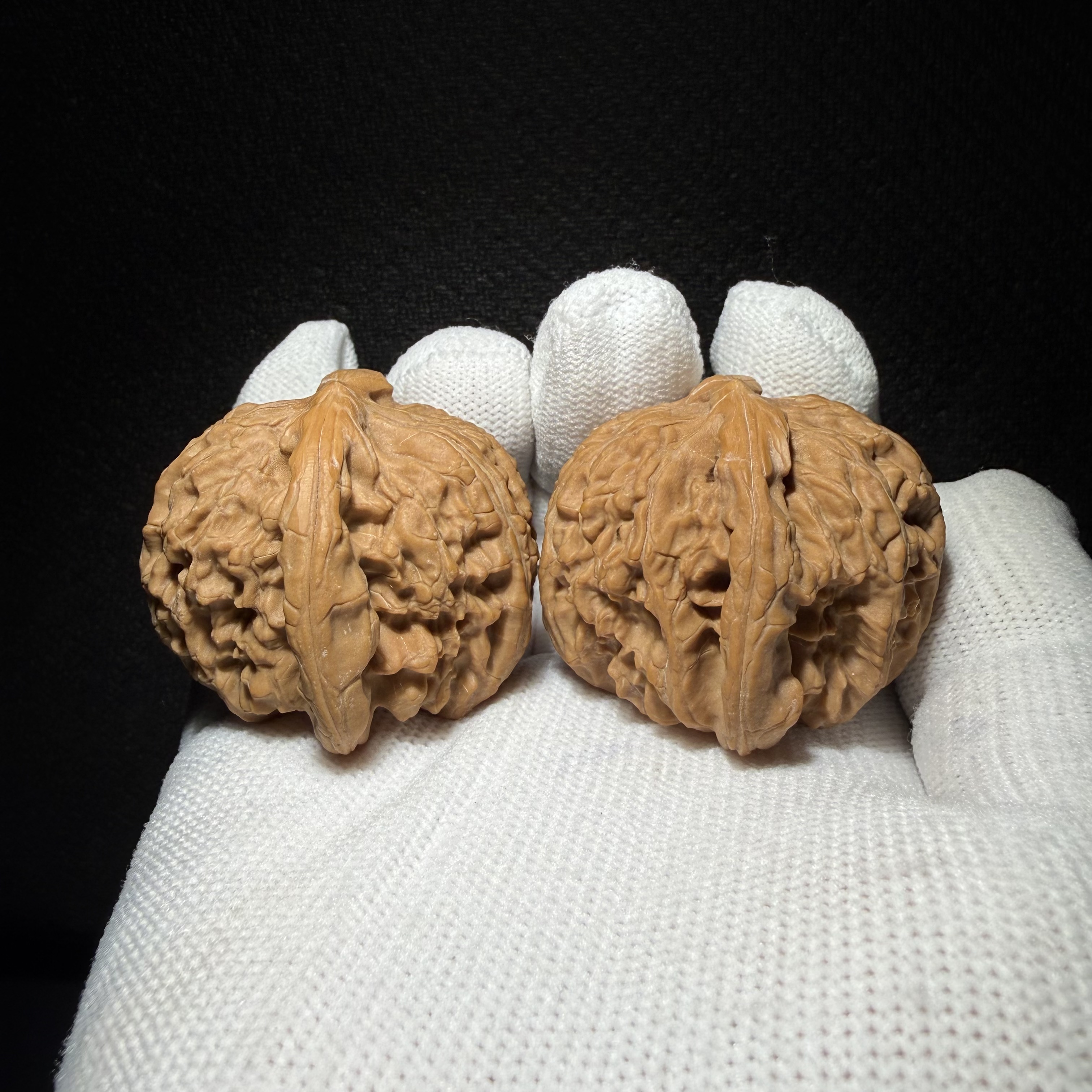 Muntip White Lion Walnut Pair | Natural Wenwan Walnut, Low Stubby Shape, Hand Matched Ornament