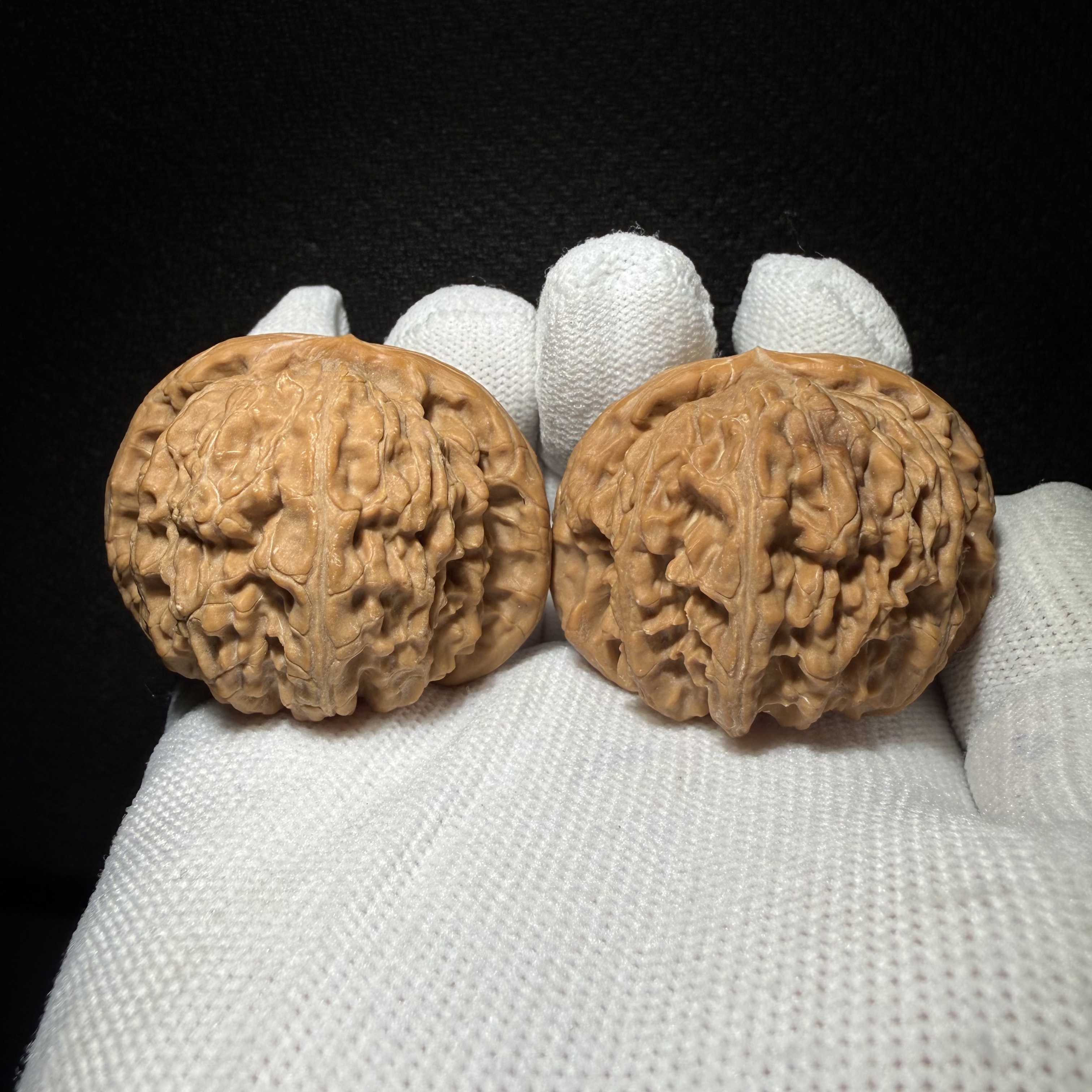 Muntip White Lion Walnut Pair | Natural Wenwan Walnut, Low Stubby Shape, Hand Matched Ornament
