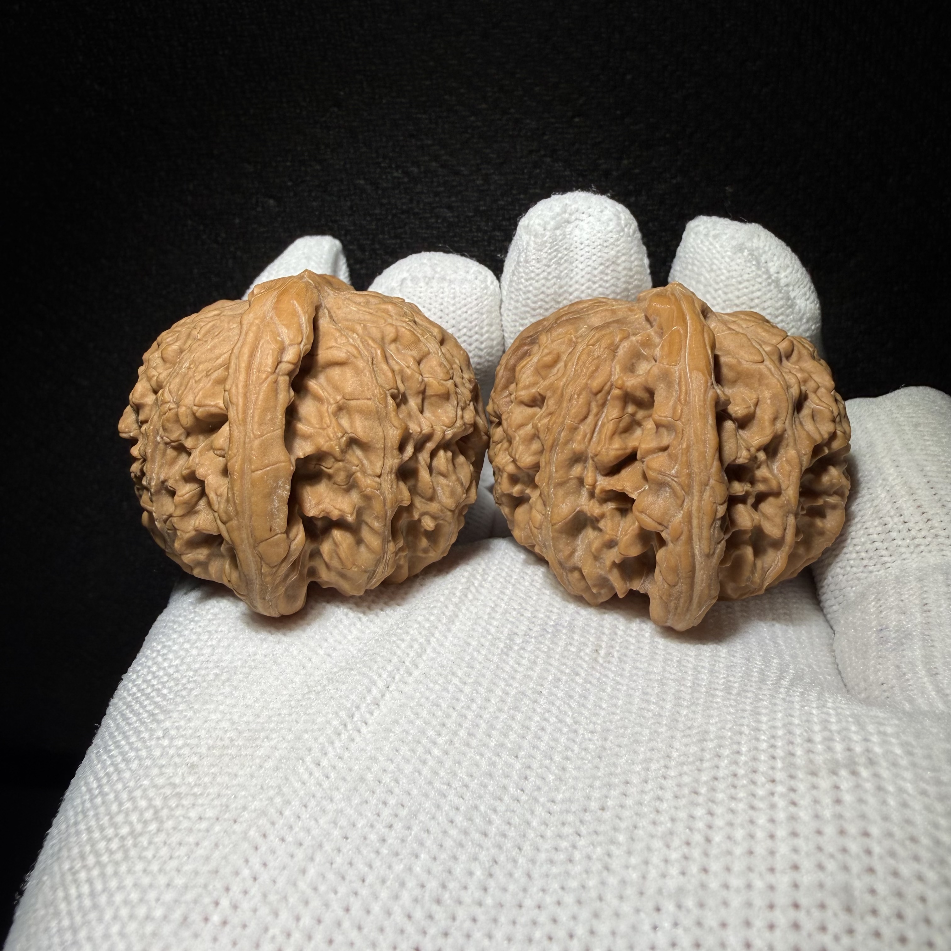 Muntip White Lion Walnut Pair | Natural Wenwan Walnut, Low Stubby Shape, Hand Matched Ornament