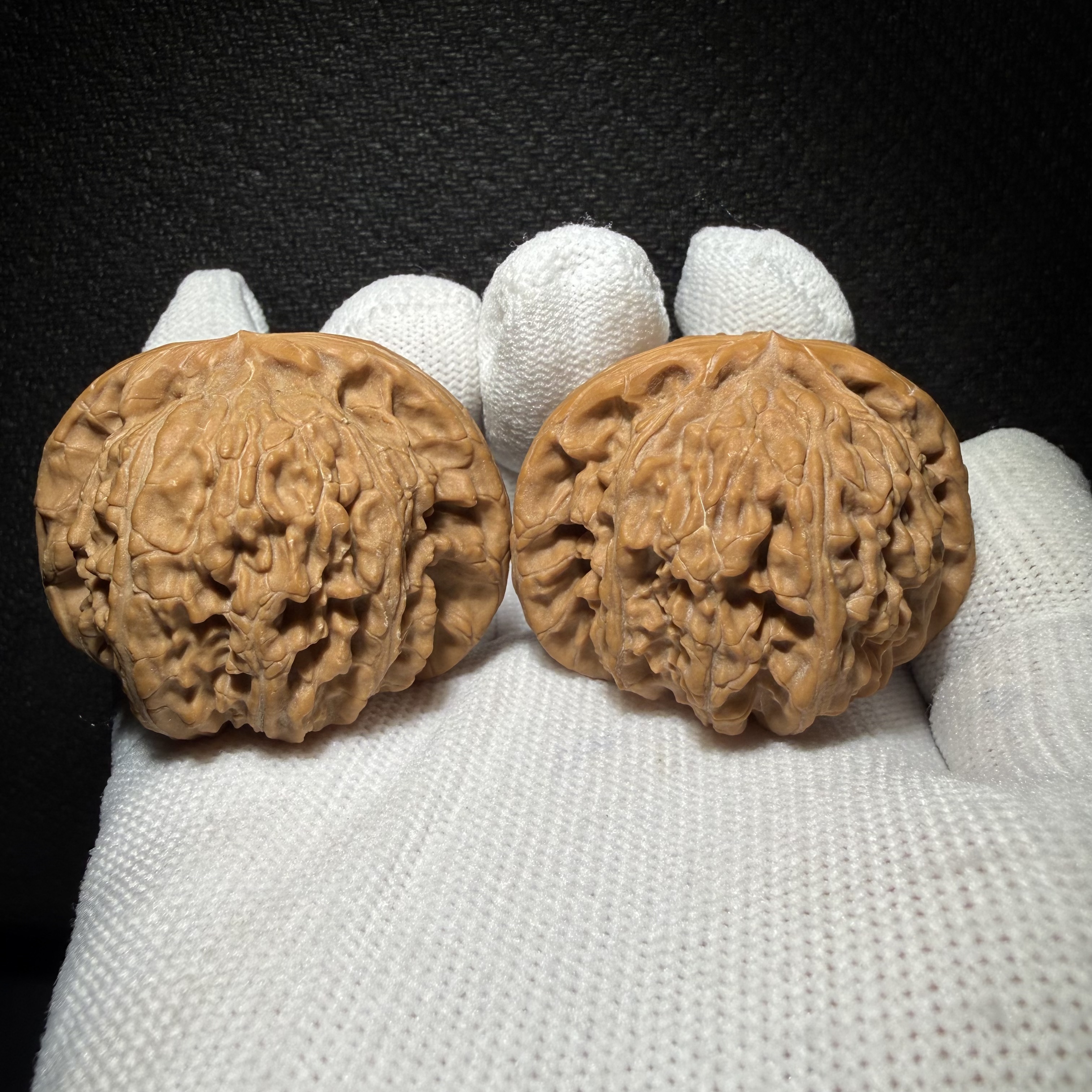 Muntip White Lion Walnut Pair | Natural Wenwan Walnut, Low Stubby Shape, Hand Matched Ornament