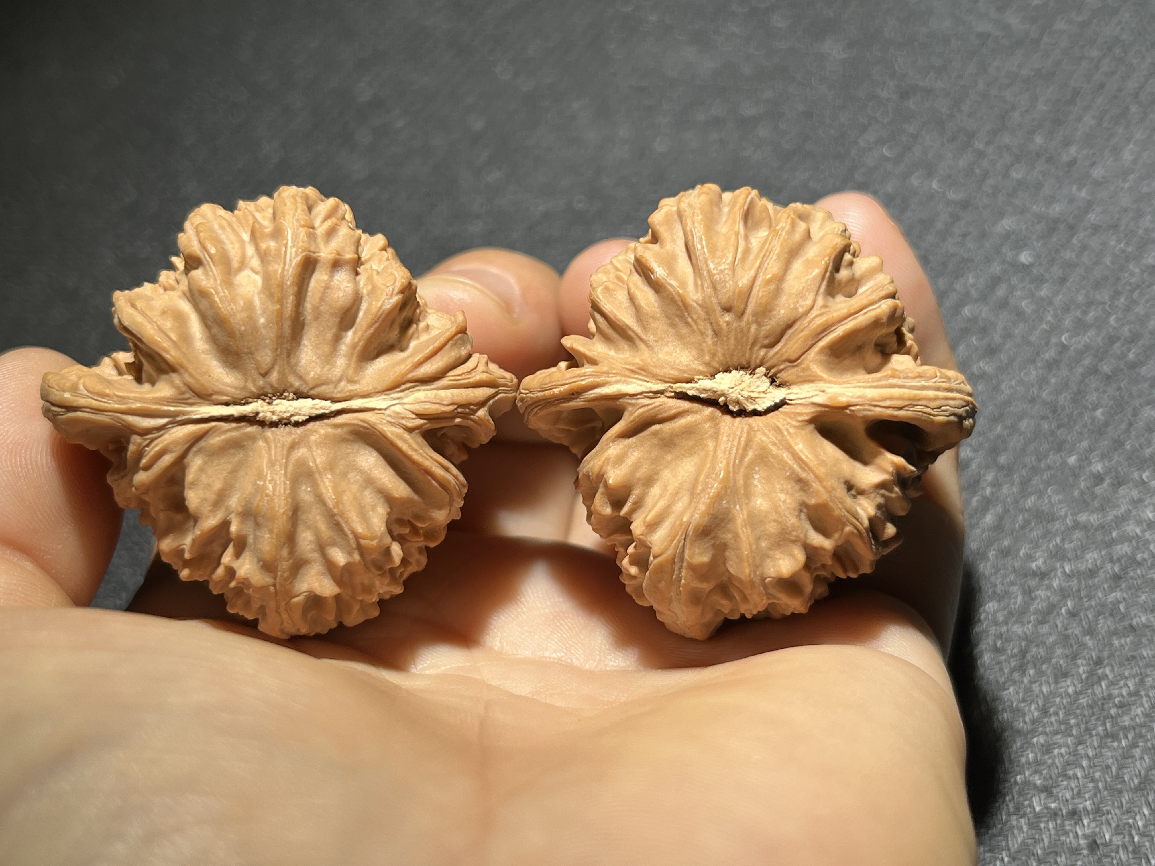 Triangular White Lion Walnut Pair, Natural Hand-Matched Chinese Craft Walnut for Home Aesthetic Decoration & Craft Gift Display