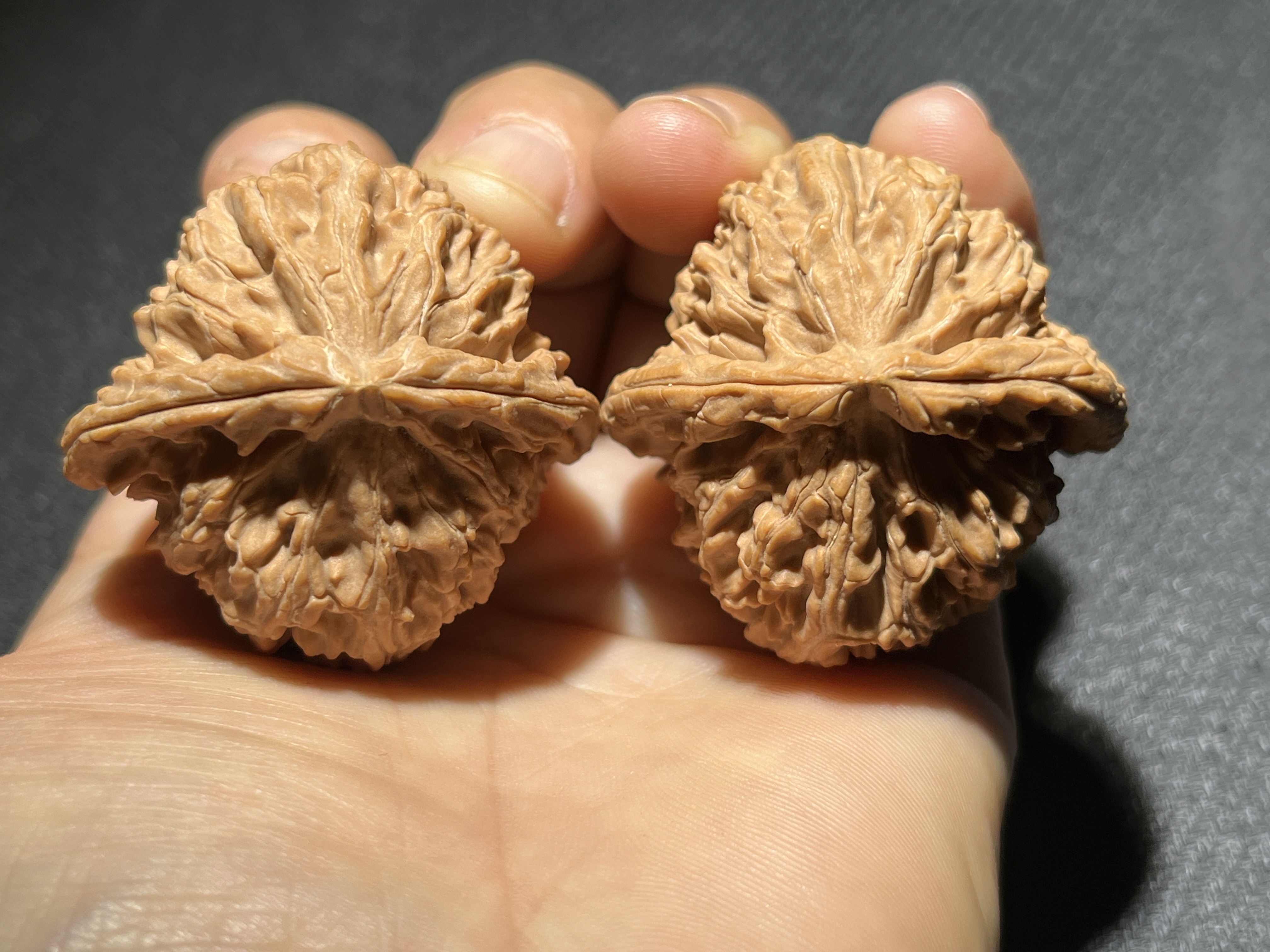 Triangular White Lion Walnut Pair, Natural Hand-Matched Chinese Craft Walnut for Home Aesthetic Decoration & Craft Gift Display