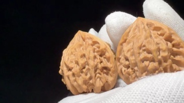 Longmenjian Natural Walnut Pair, Hand Polished Oriental Craft Ornament for Home Interior Decor & Housewarming Gift