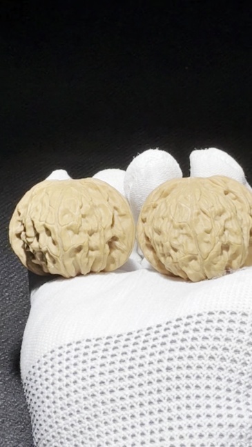 Natural Mopan Two-ridge Walnut Pair, Hand Polished Traditional Chinese Craft Ornament for Home Decor & Gift