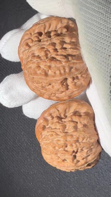 Large Size Mianbai Natural Craft Walnut Pair, Hand Polished Symmetrical Walnut Ornament for Home Aesthetic Decor & Craft Gift