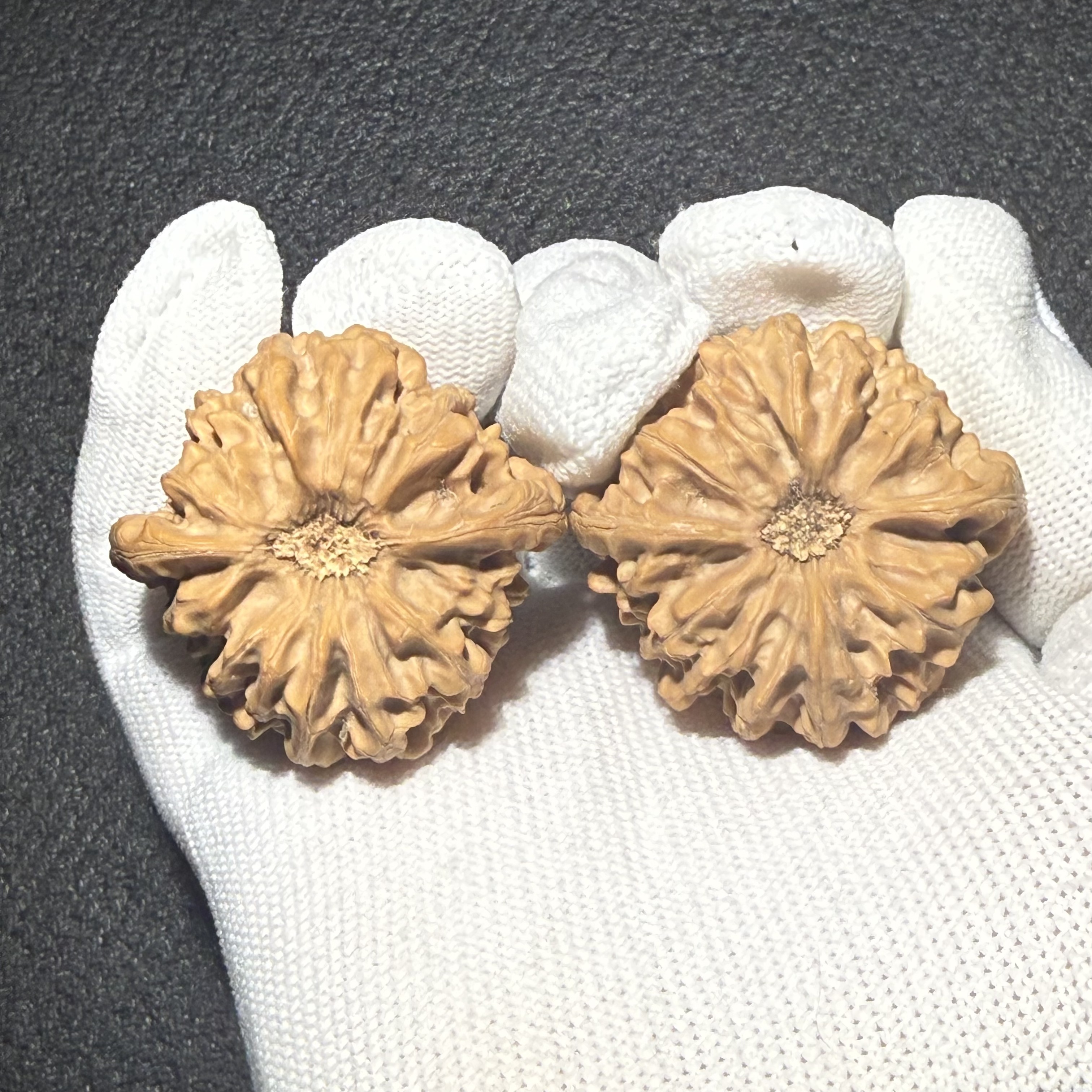 Longmenjian Wenwan Walnut Pair, Natural Hand Rolling Walnuts with Unique Cup-shaped Concave Bottom, Oriental Handicraft for Collection & Desk Decor