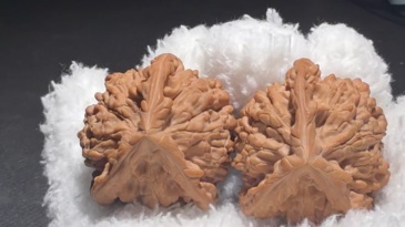 Natural Three Ridged Official Hat Walnut Pair, Hand Polished Oriental Craft Decorative Ornament for Home Desktop Display & Gift