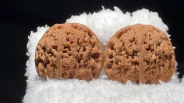 Matched Pair Nanjiang‑Stone Chinese Craft Walnut, Hand‑Polished Decorative Walnut Ornament for Home & Interior Furnishing Wholesale