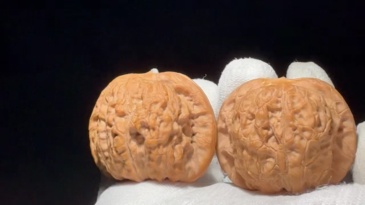Blood Kirin Hand‑Matched Walnut Pair, Natural Hand‑Finished Oriental Craft Ornament for Hand‑Roll & Home Tabletop Decor