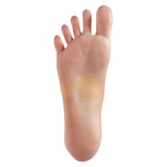 Standing Feet Without Bolts 