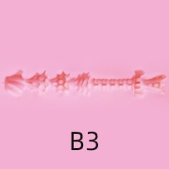 B3
