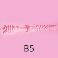 B5
