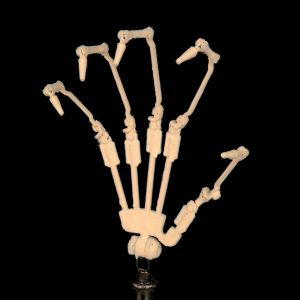 Articulated Skeleton