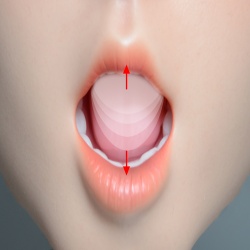 Oral Sucking