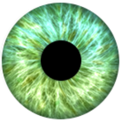 #02