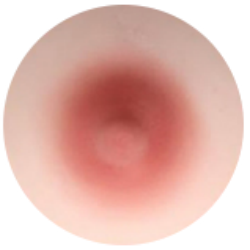 #02
