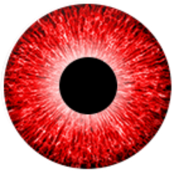 #03