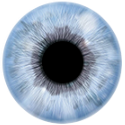 #06