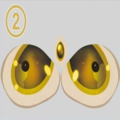 #2