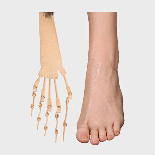 Toe Bone