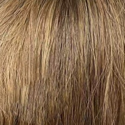 Bronze Blend
