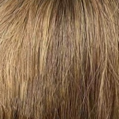 Bronze Blend