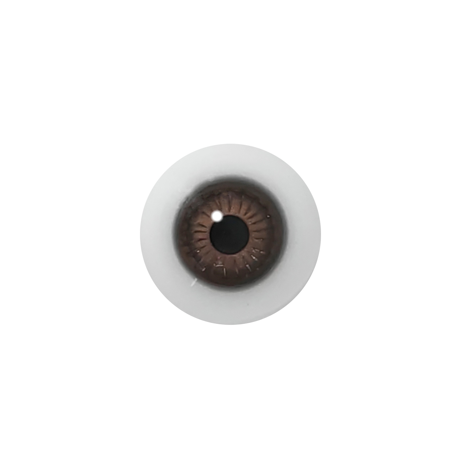 E1