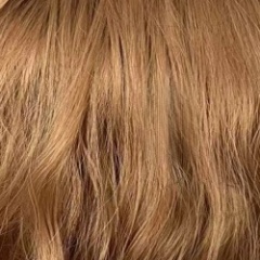 Golden Camel