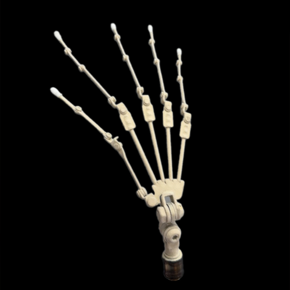 Grace Joint