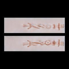 04-12.3cm