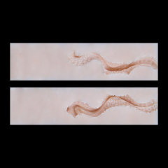 05-11.3cm