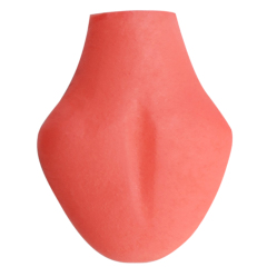02 Removable Tongue